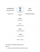 PLASTICOS “ABS - ACRILONITRILO BUTADIENO ESTIRENO”