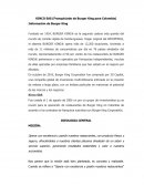 Análisis Financiero. BURGER KING®