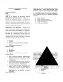 RESUMEN DE SISTEMAS DE INFORMACIÓN GERENCIALES