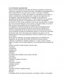 Producción y comercialización de Arándanos.