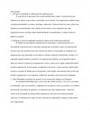 ¿Por qué es importante la cultura para las organizaciones?