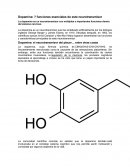 Dopamina: 7 funciones esenciales de este neurotransmisor.