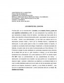 Los dientes del leviatan