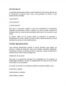 TEMA- ACTIVIDAD AGRICOLA.