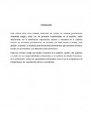 TRABAJO DE AUDITORIA- LAS NAGAS