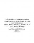 CONFECCIÓN DE UNA HERRAMIENTA QUE PERMITA LA REALIZACIÓN DE UNA AUDITORÍA DE UN SISTEMA DE GESTIÓN DE SEGURIDAD Y SALUD EN EL TRABAJO