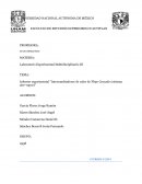 Informe experimental “Intercambiadores de calor de Flujo Cruzado (sistema aire-vapor)”