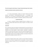 El servicio de resguardo nacional aduanero