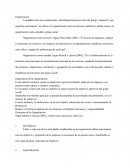 Fundamentos de la organizacion.