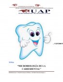 Microbiologia caries dental