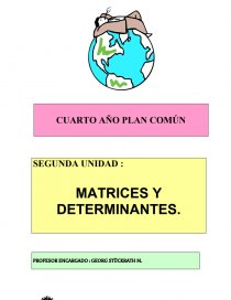 MATRICES Y DETERMINANTES. PROFESOR ENCARGADO : GEORG STÜCKRATH M.. Página 1