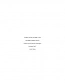 Kit De Oculares Y Filtros Para TelescopiosCelestron 93685 -