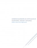 Análisis Interno de la Organización dimeggis.