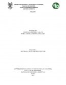 Empresa de Servicios Públicos, (generación, transmisión, distribución y venta de energía eléctrica)
