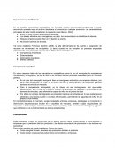 Imperfecciones del Mercado.