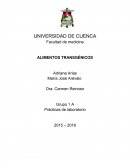 ALimentos transgenicos. Prácticas de laboratorio