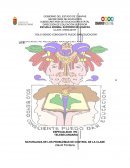 NATURALEZA DE LOS PROBLEMAS DE CONTROL DE LA CLASE