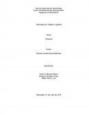 Proyecto de ventas. Nombre de la Empresa: TEJAS MAO