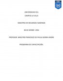 PROGRAMA DE CAPACITACIÓN.