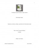 Importancia económica, ecológica y agronómica de la biotecnología vegetal