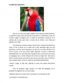 La niña del papagayo