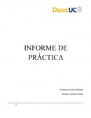 Carrera: Administración de Empresas Practica laboral INTRODUCCIÓN