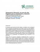 Adolescencia y educación. Un punto de vista piagetiano para su entendimiento y valoración