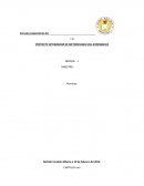 PROYECTO INTEGRADOR DE METODOLOGIA DEL APRENDIZAJE