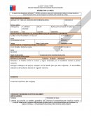 ARACELY PASCAL RIQUELME HORMAZÁBAL.