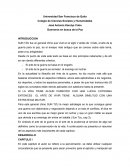 Guerreros en busca de la Paz