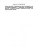 CAPÍTULO II SUPUESTO TÉCNICO