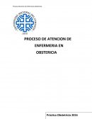 PROCESO DE ATENCION DE ENFERMERIA EN OBSTERICIA
