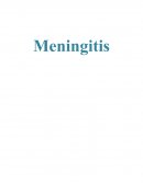 Meningitis.