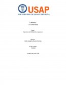 Ejercicios de Redacción progresiva