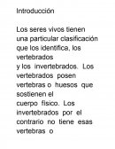 HERRAMIENTAS DE GESTION- Introduccion