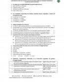 Las variedades comerciales de Gerbera recientes fueron originadas a través del cruzamiento entre.