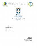 Planeacion de capacidad