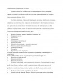 Consideraciones al implementar seis sigma