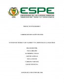 FUNCION DE TITERES “LOS VALORES” UN CAMINO HACIA LA FELICIDAD