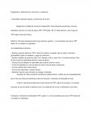 Diagnósticos, planificación, ejecución y evaluación.