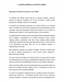 La política pública y su entorno político