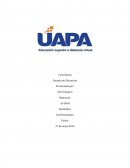 Español asimilacion.