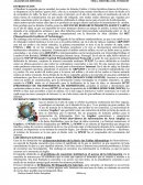 Historia del internert.