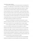 Trabajo Práctico: Impacto Ambiental.