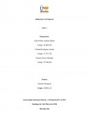 Inducción a la empresa fase 1.