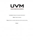 Sistemas de computación administrativa.