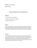 Producción de Alimentos en Casa mediante Huertos.