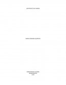 SUB-PROYECTO DE DANZAS