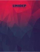 Organigrama de la institución. UNIDEP