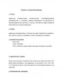 PLANTILLA: CASO EXTRAJUDICIAL